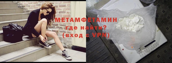 сатива Новодвинск