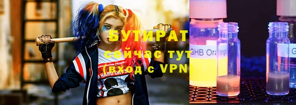 сатива Новодвинск