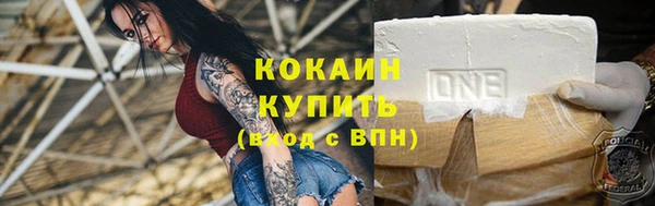 сатива Новодвинск