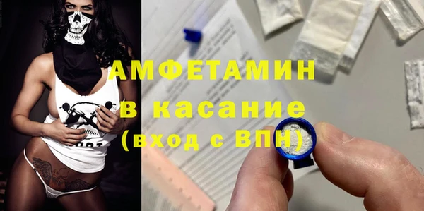 сатива Новодвинск