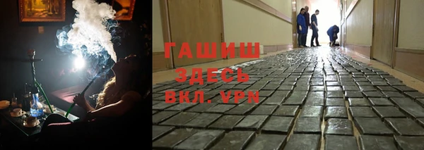 сатива Новодвинск