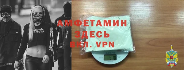 сатива Новодвинск