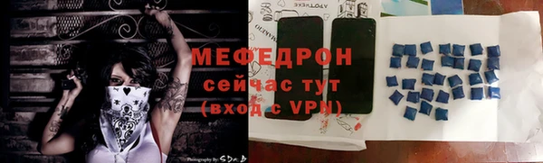 сатива Новодвинск