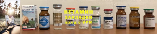 сатива Новодвинск
