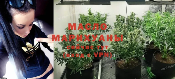 сатива Новодвинск