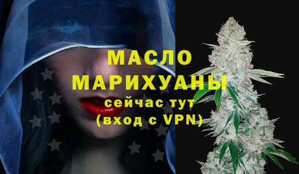 сатива Новодвинск