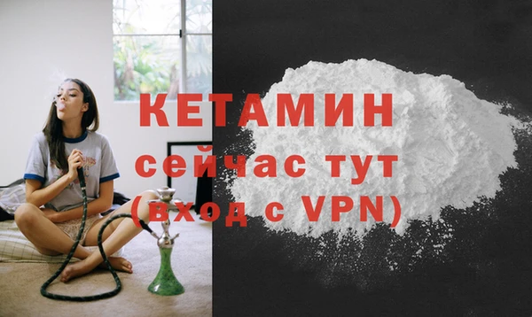сатива Новодвинск
