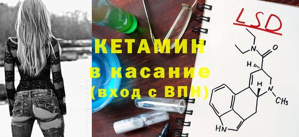 сатива Новодвинск