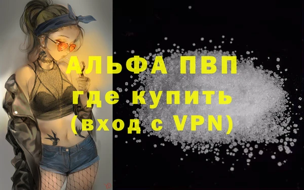 сатива Новодвинск