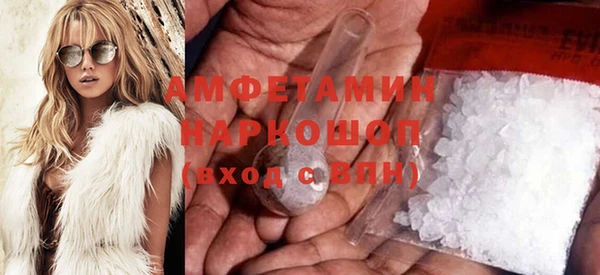 сатива Новодвинск