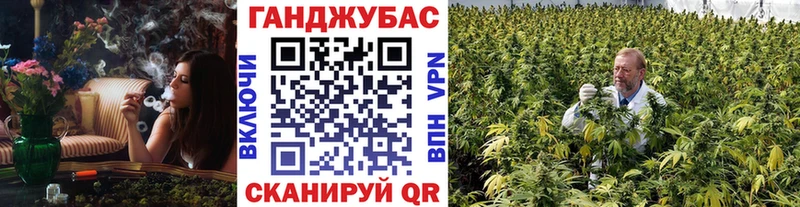 Купить Киржач Каннабис гибрид
